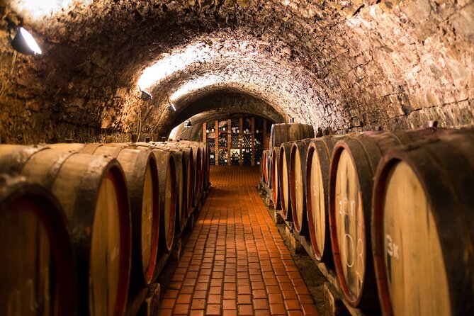 Private Lisbon Wine Tasting Trip to the Setubal Region With Hotel Pick-Up - Tour Details