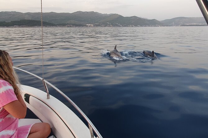 Private Local Guided Speedboat Tour in Dubrovnik Archipelago - Accessibility and Restrictions