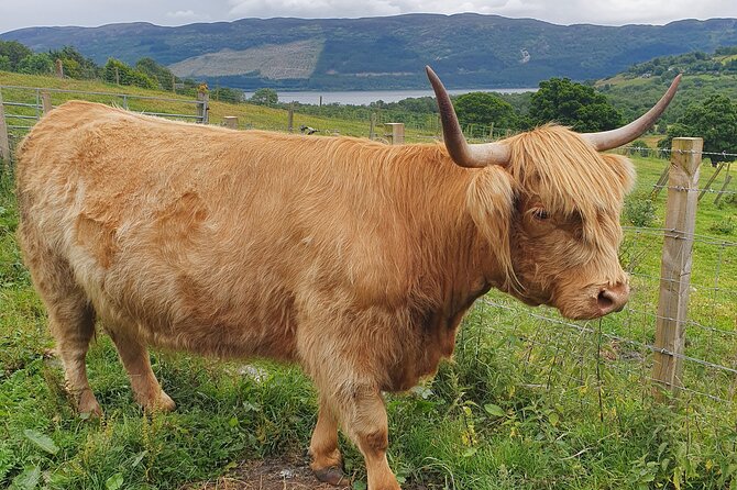 Private Loch Ness & Highland Adventure Guided Tour - Tour Exclusions