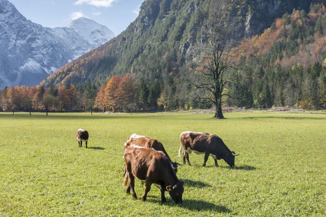 Private Logar Valley & Alpine Fairytale Tour From Ljubljana - Detailed Pickup Information