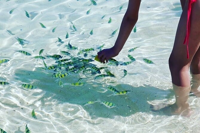 Private Longtail Boat Tour to Hong Islands - Experiencing the Secret Lagoon