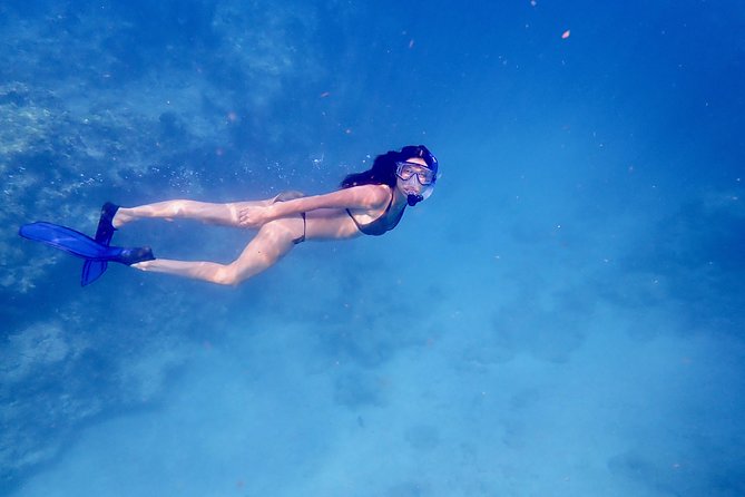 Private Looe Key Snorkel From Big Pine Key - Additional Information