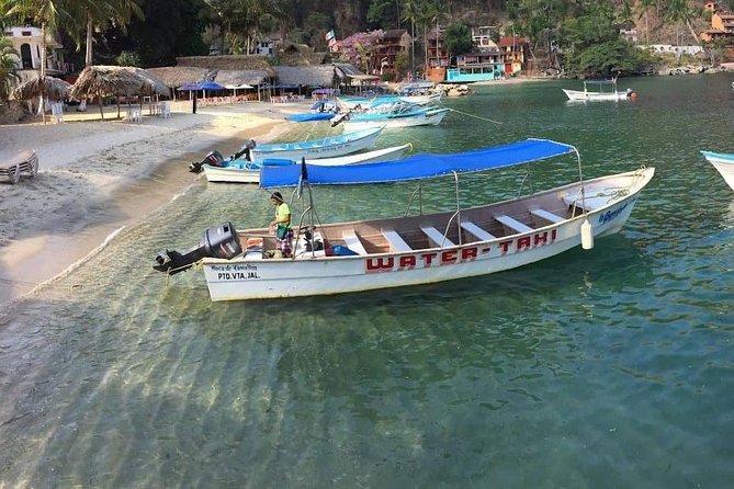 Private Los Arcos Snorkel and Beach Tour From Puerto Vallarta - Participant Information