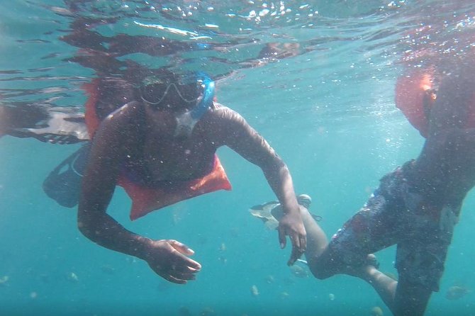Private Los Arcos Snorkeling - Diverse Marine Life