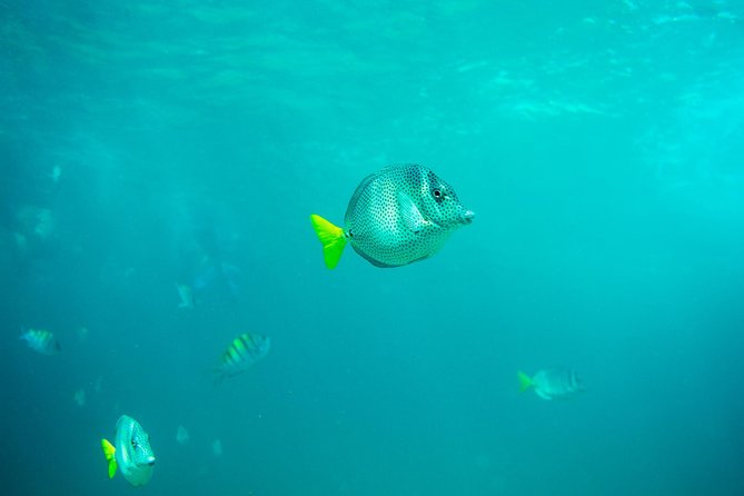 Private Los Cabos Arch & Playa Del Amor Tour by Glass Bottom Kayak - Equipment and Supplies
