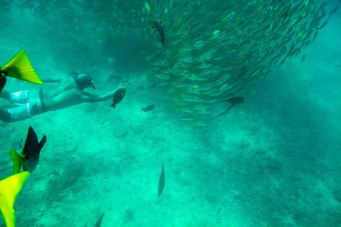 Private Los Cabos Snorkeling Tour to Chileno Bay and Santa Maria Cove - Tour Schedule and Flexibility