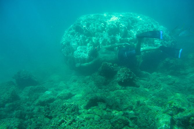 Private Los Cabos Snorkeling Tour to Chileno Bay and Santa Maria Cove - Safety Considerations