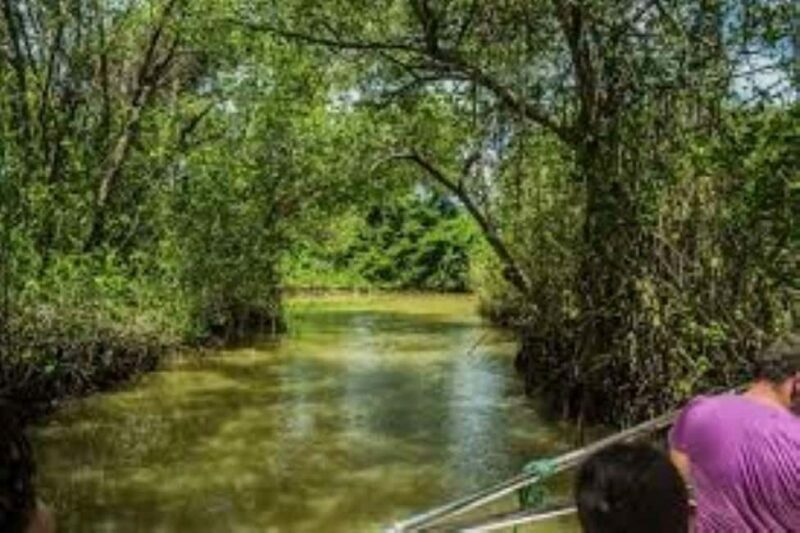 Private: Los Haitises & Caño Hondo Natural Pool Experience - Key Points