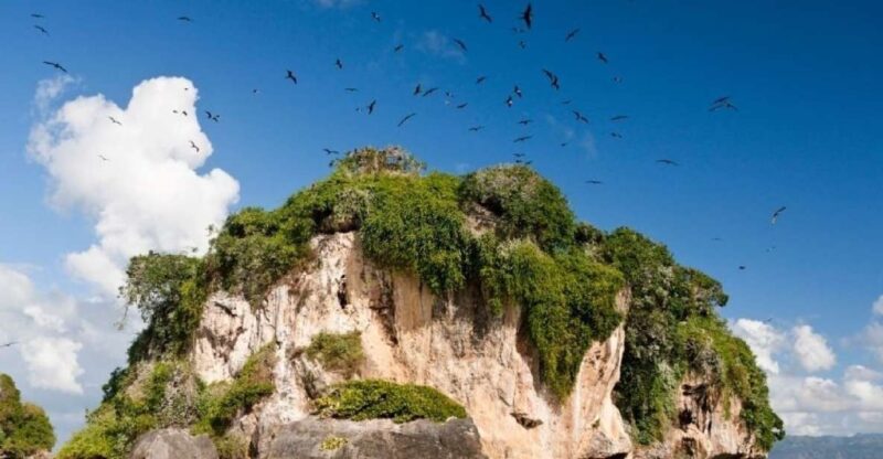 Private: Los Haitises & Cayo Levantado From Samana - Inclusions