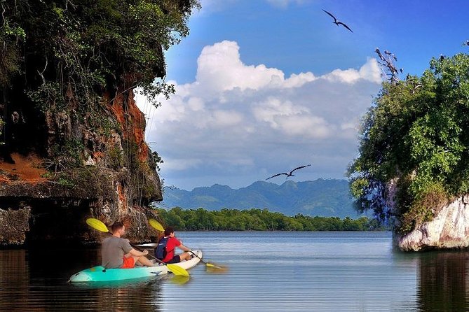 Private Los Haitises National Park Private Kayaking 2 Hours - What to Expect During the Kayaking