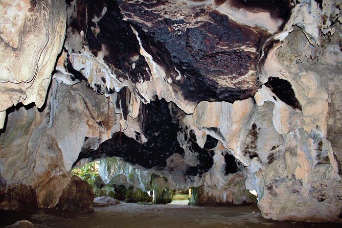 Private Los Haitises National Park Private Kayaking 2 Hours - Booking Information and Pricing
