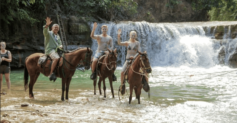 Private Los Haitises + Yanigua Waterfall + Montaña Redonda - National Park Exploration