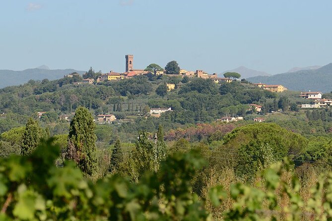 Private Lucca Wine Tour With Lunch and Tastings - Tour Reviews