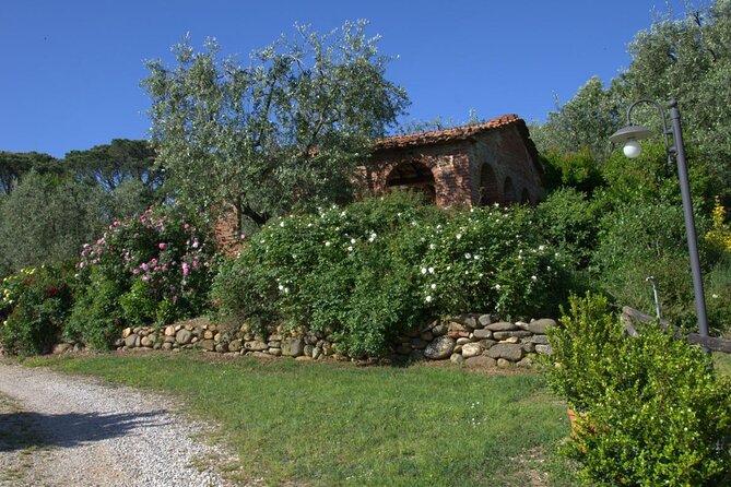 Private Lucca Wine Tour With Lunch and Tastings - Cancellation Policies
