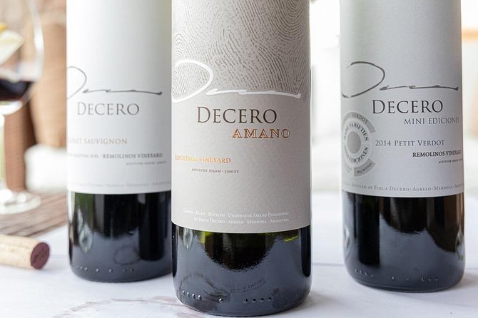 Private Lujan Wine Tour With Gourmet Wine-Paired Lunch From Mendoza - Reviews and Ratings