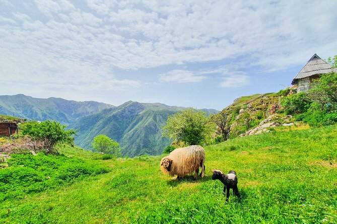 Private Lukomir Village 4x4 Off-Road Safari Tour From Sarajevo - Exploring Lukomir Village