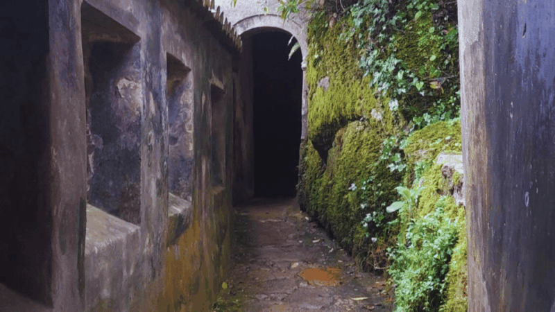 Private Lush Mystic Sintra: Native Forest / Hidden Convent - Itinerary Highlights
