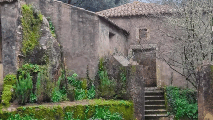 Private Lush Mystic Sintra: Native Forest / Hidden Convent - Recap