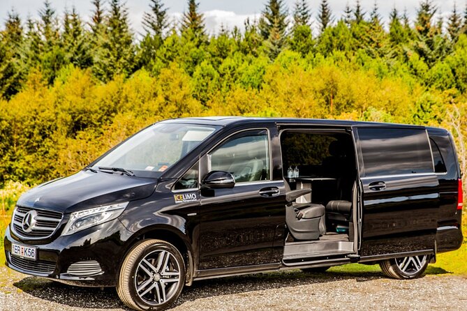 Private Luxury Airport Transport Keflavik, 2-3 Pax. Tesla Y 4x4 - Vehicle Features and Amenities