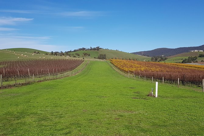 Private, Luxury and Tailored Yarra Valley Wine Tour - Customizable Experiences