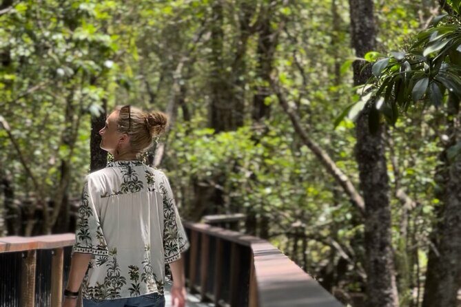Private Luxury Cape Tribulation Adventure and Crocodile Cruise - What Makes This Tour Stand Out?