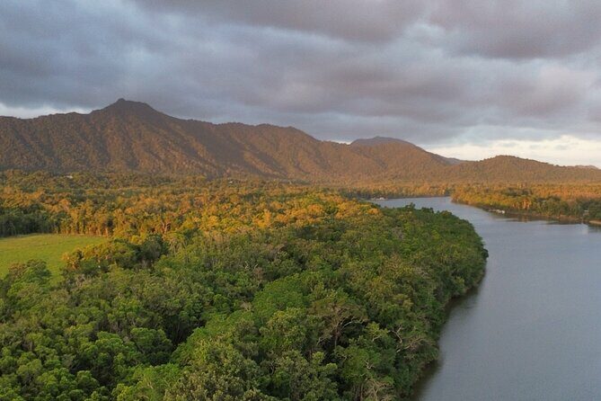 Private Luxury Cape Tribulation Adventure and Crocodile Cruise - The Sum Up: Who Will Benefit Most?
