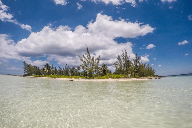 Private, Luxury, Custom Charters to Stingray City, Snorkeling & More - Customizable Itinerary and Activities