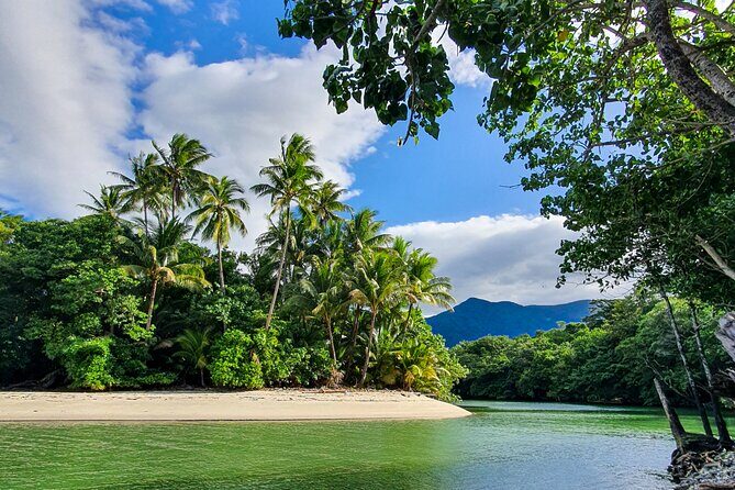 Private Luxury Daintree Dream Tour All Inclusive - Key Points