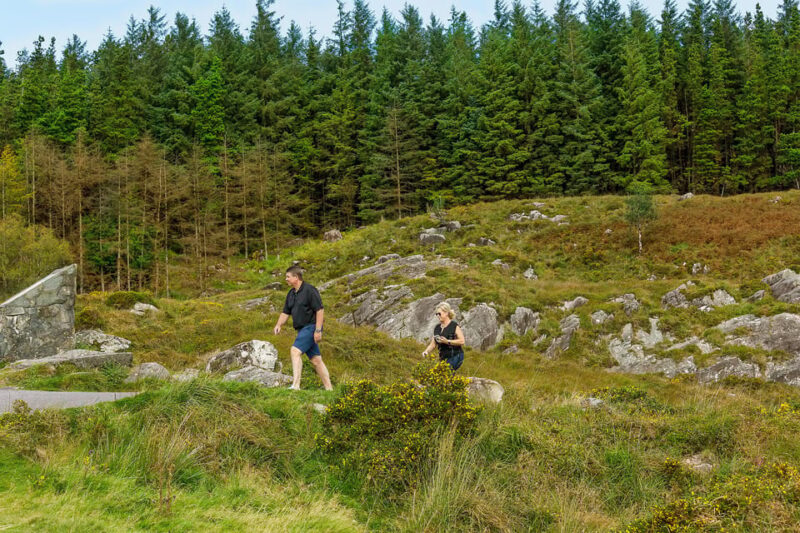Private Luxury Day Killarney and National Park Tour - Attractions and Activities