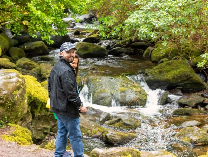 Private Luxury Day Killarney and National Park Tour - Important Information