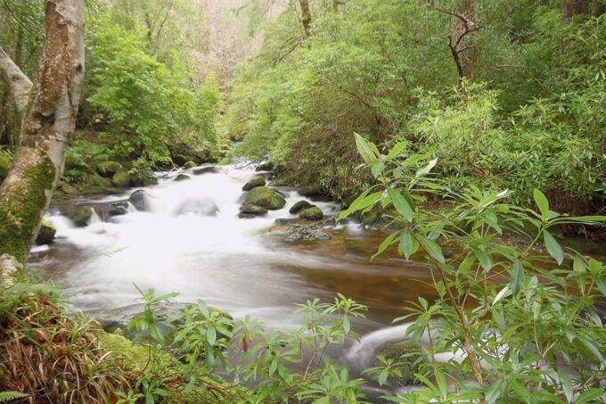 Private Luxury Day Killarney and National Park Tour - Frequently Asked Questions
