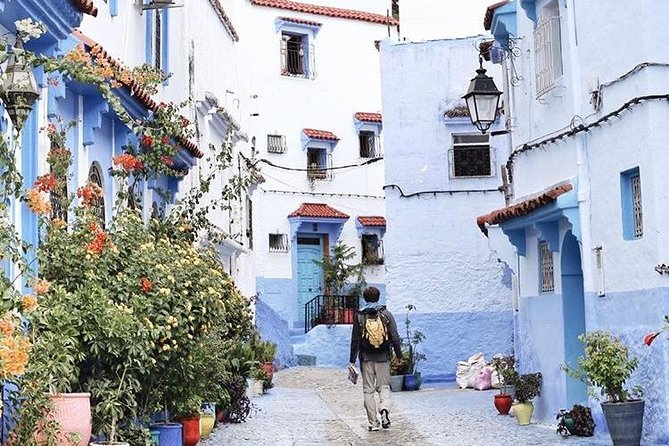 Private Luxury Day Trip From Fes to Chefchaouen - Key Points