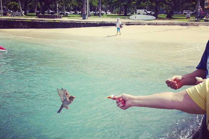 Private Luxury Dole Plantation,Northshore,Waikiki Island Tour - Booking and Availability