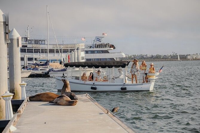 Private Luxury E-Boat Cruise With Wine, Charcuterie & Sea Lions Spotting - Tour Details and Reviews