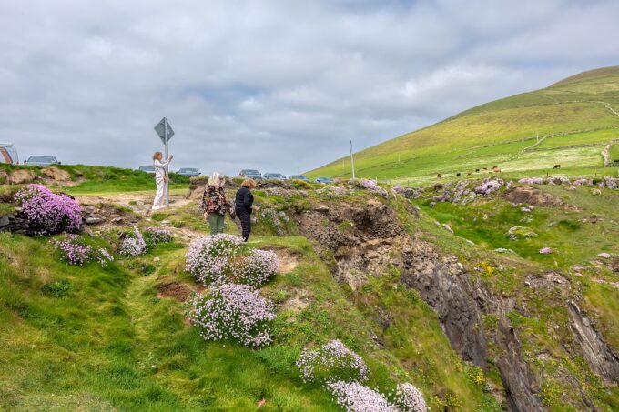 Private Luxury Full-Day Ring of Kerry Tour From Killarney - Cancellation Policy