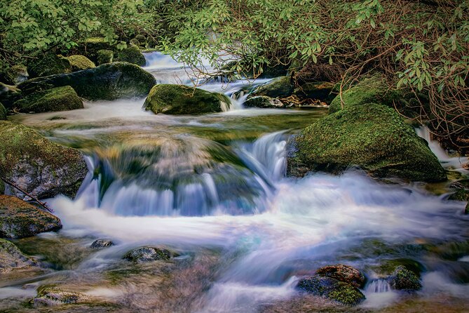 Private Luxury Full-Day Ring of Kerry Tour From Killarney - Breathtaking Scenic Vistas