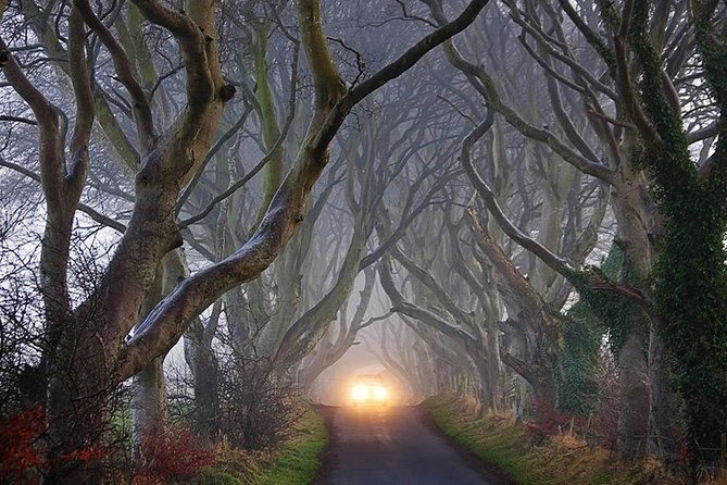 Private Luxury Full Day Tour Causeway Coastal Route From Belfast - Tailored Tour Options Available