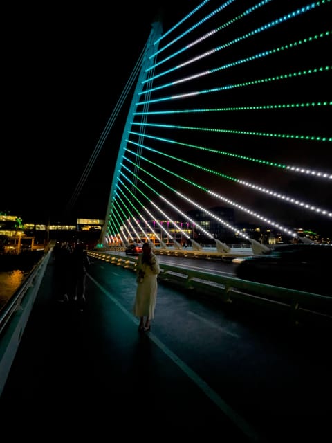 Private Luxury Half Day ; Dublin City Tour. - Key Points