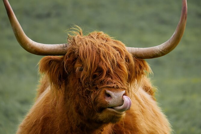 Private Luxury Mini Highlands Tour From Edinburgh - Braveheart - Customizable Itinerary