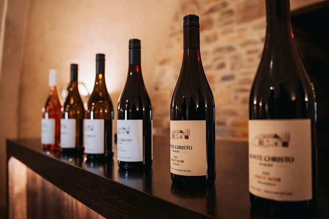 Private Luxury Return Transfers - Queenstown to Wanaka Vineyards - Who Should Consider This Tour?