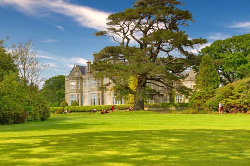 Private Luxury Ring of Kerry and Skelling Ring Day Tour - Experience Highlights