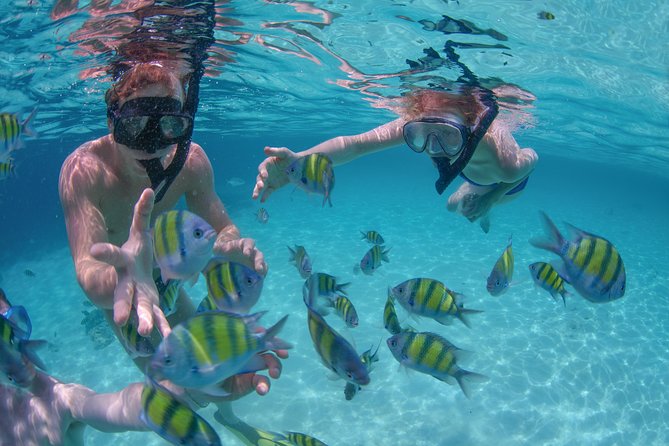 Private Luxury Sailing Cruise in Los Cabos With Lunch and Open Bar - Itinerary