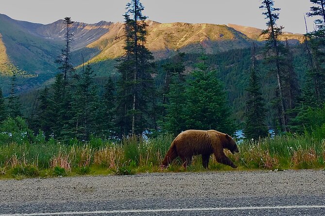 Private Luxury Shore Excursion Skagway, AK to Emerald Lake, Yukon. - Tour Overview