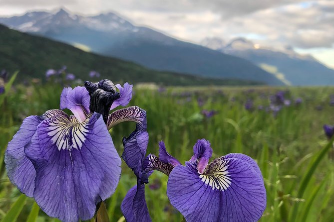 Private Luxury Shore Excursion Skagway, AK to Emerald Lake, Yukon. - Tour Highlights