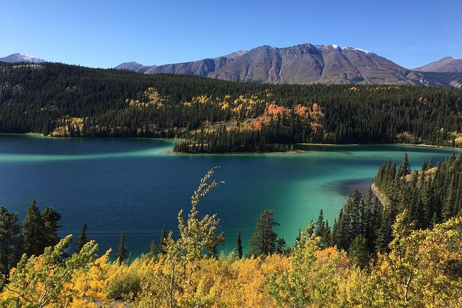 Private Luxury Shore Excursion Skagway, AK to Emerald Lake, Yukon. - Dining and Tastings