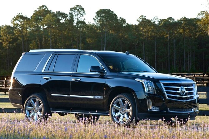 Private Luxury SUV Airport Transportation (Roundtrip) - Accessibility