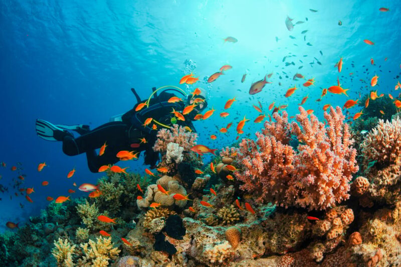 PRIVATE LUXURY TOUR - EXPLORE NHA TRANG ISLAND - Departure and Return Details