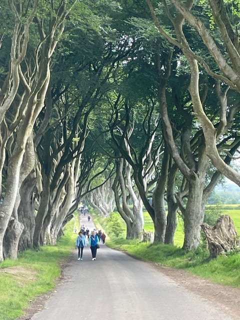 Private Luxury Tour of Belfast & Giants Causeway Tickets Inc - Belfast City Exploration