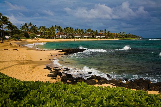 Private Luxury Tour of Kauai: South & West Shores - Visiting Opaekaa Falls and Hanapepe Swinging Bridge
