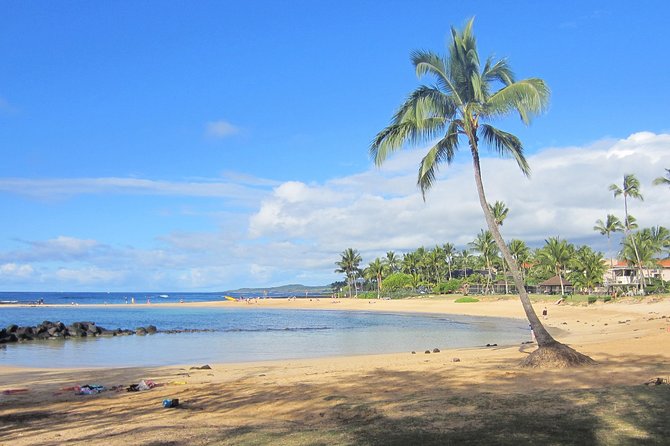 Private Luxury Tour of Kauai: South & West Shores - Exploring Kauais South and West Shores